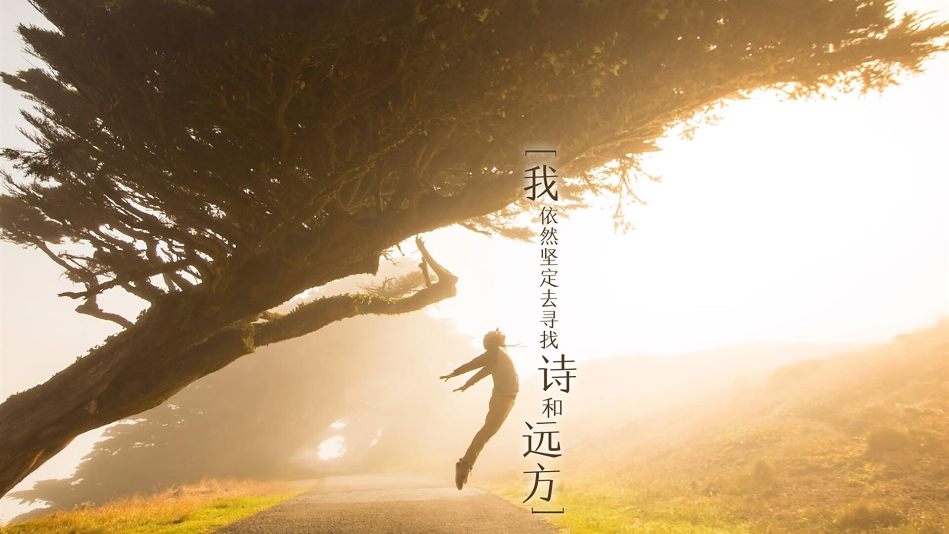 凯莉·麦基翁女子200米仰泳决赛精彩亮相,美国游泳麦基翁