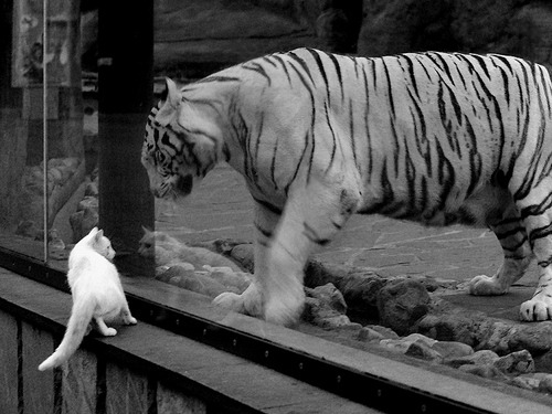 篮球训练视频教学课程深受学员喜爱,篮球教学视频篮球基础与实战技巧