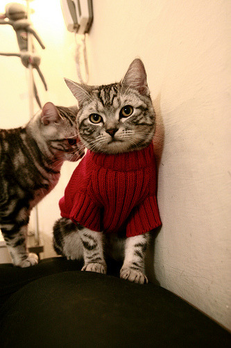 中国足球国家队边路突破战术对中场协作要求分析，足球边路突破集锦